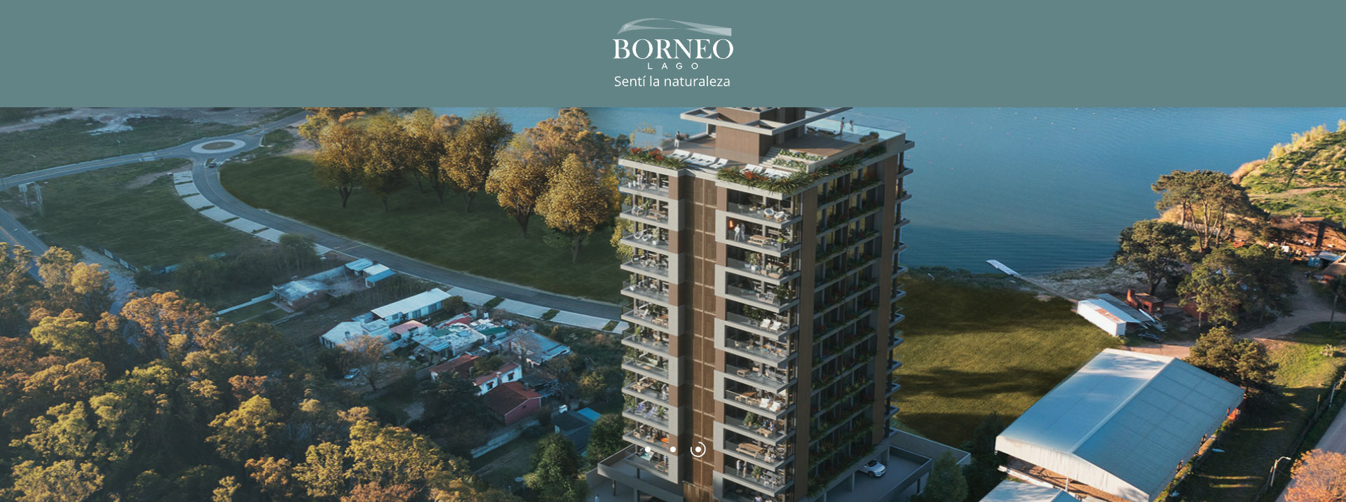 Grupo Ivory lidera con nuevos proyectos e innovación.